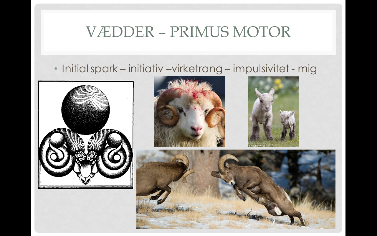 vaeddertegnet-2016-11-13